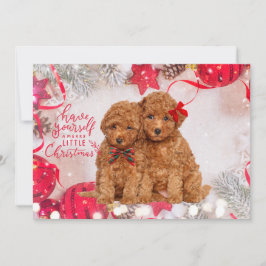 Frohe Weihnachts-Poodles Personalisiert-Urlaubskar Feiertagskarte