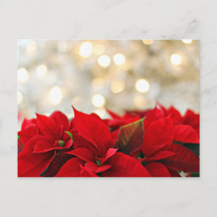 Frohe Weihnachts-Postkarte mit Blume Postkarte