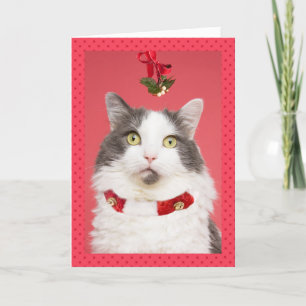 Frohe Weihnachts Pucker up Cat Under Mistletoe Feiertagskarte