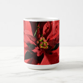 Frohe Weihnachts Red Curly Poinsettia Kaffeetasse