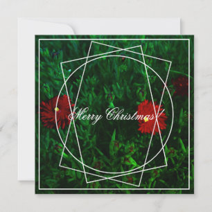 Frohe Weihnachts Red Green Blume Grußkarte Feiertagskarte