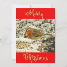 Frohe Weihnachts Robin in Snow Foto Card