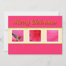 Frohe Weihnachts-Rosa Blume Grußkarte Feiertagskarte