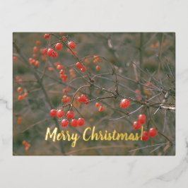 Frohe Weihnachts-Rote Berries Festliches Natur-Fot Folien Feiertagspostkarte