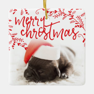 Frohe Weihnachts Rote Branchen Custom Pet Foto Keramikornament