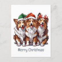Frohe Weihnachts Shetland Sheepdogs