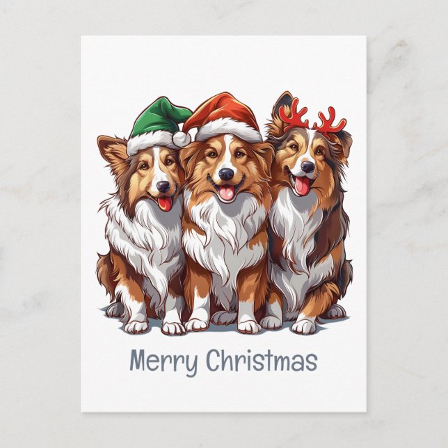 Frohe Weihnachts Shetland Sheepdogs Postkarte (Vorderseite)