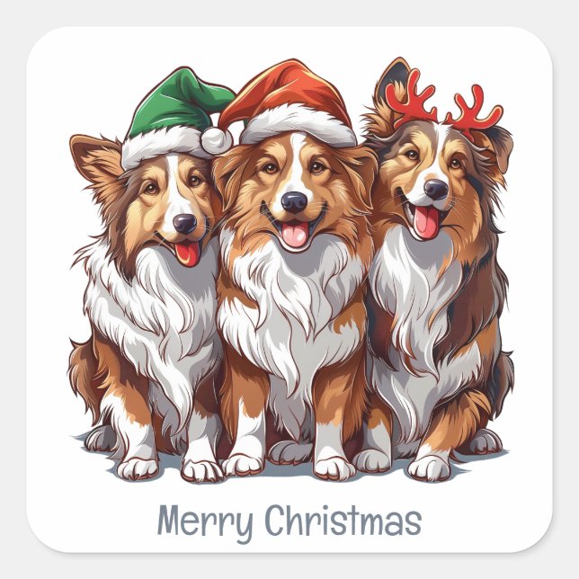 Frohe Weihnachts Shetland Sheepdogs Quadratischer Aufkleber (Vorderseite)