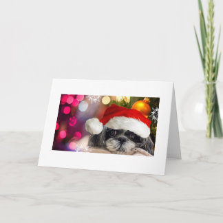 Frohe Weihnachts Shih Tzu Grußkarte Feiertagskarte