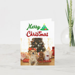 Frohe Weihnachtsbaum Foto Rot-Grün-Skript Feiertagskarte