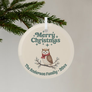 Frohe Weihnachtsbeige niedliche Eule Ornament Aus Glas