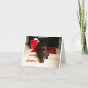 Frohe Weihnachtsdeutsch Kurzhaarzeiger Feiertagskarte