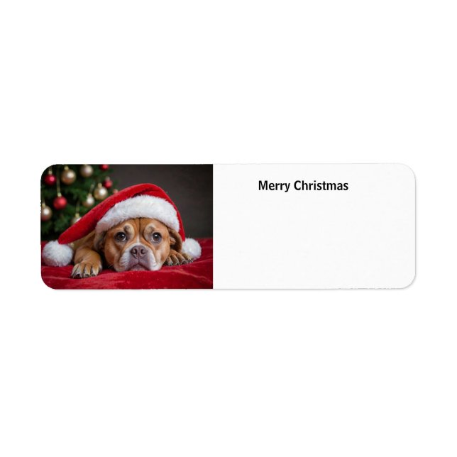 Frohe Weihnachtsfrau (Vorne)
