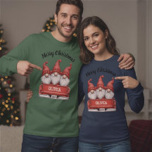 Frohe Weihnachtsgnome im LKW