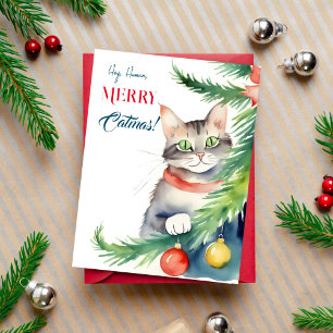 Frohe Weihnachtsgrüße für Katzenmenschen Postkarte