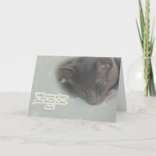 Frohe Weihnachtsgrüße - Schlafen Kitty - Träume Feiertagskarte
