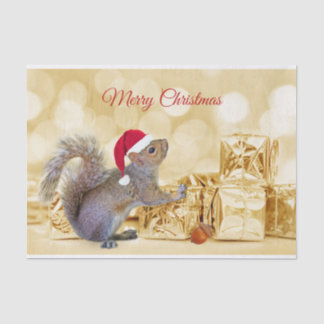 Frohe Weihnachtshörnchen in Weihnachtsmannmütze & Seidenpapier