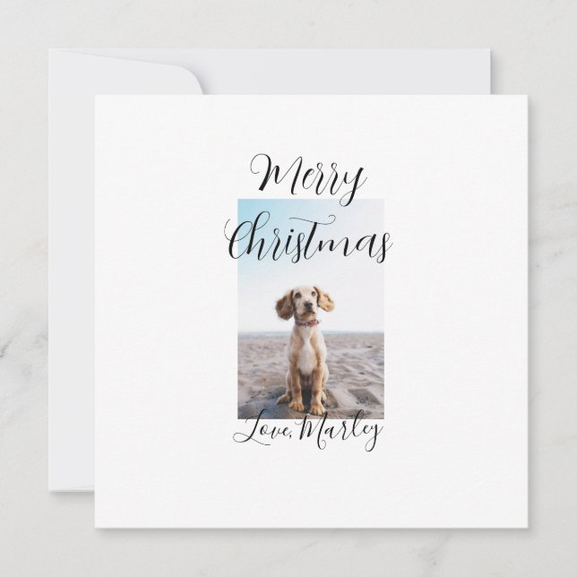 Frohe Weihnachtshunde Katze Foto Weihnachtsgeschen Feiertagskarte (Vorderseite)
