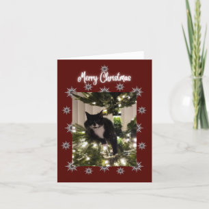 Frohe Weihnachtskarte mit Tuxedo Katze auf meinem  Feiertagskarte