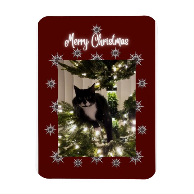 Frohe Weihnachtskarte mit Tuxedo Katze auf meinem  Magnet (Vertikal)