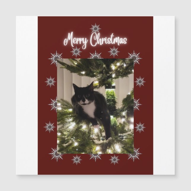 Frohe Weihnachtskarte mit Tuxedo Katze auf meinem  Magnetkarte (Vorderseite)