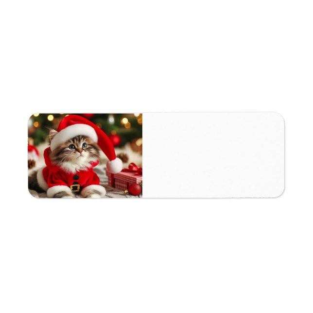 Frohe Weihnachtskat (Vorne)