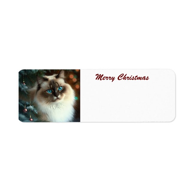 Frohe Weihnachtskat (Vorne)