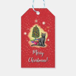 Frohe Weihnachtskat Geschenkanhänger