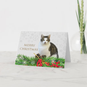 Frohe Weihnachtskat mit Grünen Urlaub Karte