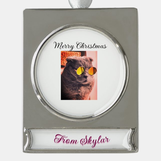 Frohe Weihnachtskatze Haustier Liebe Foto Banner-Ornament Silber (Vorderseite)