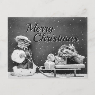 Frohe Weihnachtskatze mit Geschenken, Schlitten &  Postkarte
