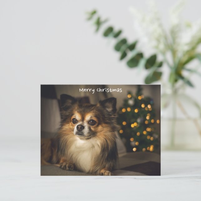 Frohe Weihnachtsleute/Hund Chihuahua Feiertagspostkarte (Stehend Vorderseite)