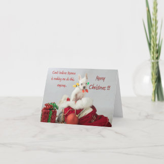 Frohe Weihnachtslights Weihnachtslights Weihnachts Karte