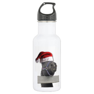 Frohe Weihnachtspferde Trinkflasche