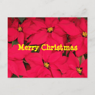 Frohe Weihnachtspostkarte Feiertagspostkarte