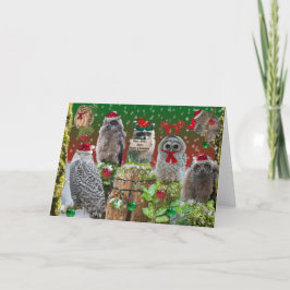Frohe Weihnachtsschalen mit einem kleinen Waschbär Feiertagskarte