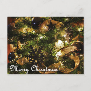 Frohe Weihnachtsschmetterlinge Postkarte