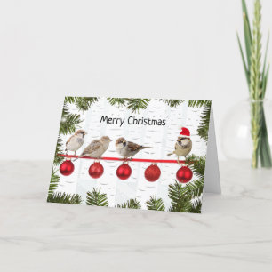Frohe Weihnachtsvögel auf einem Limb Feiertagskarte
