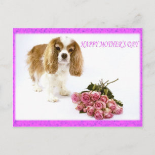Frohen Muttertag Cavalier mit Rosenstrauß Postkarte