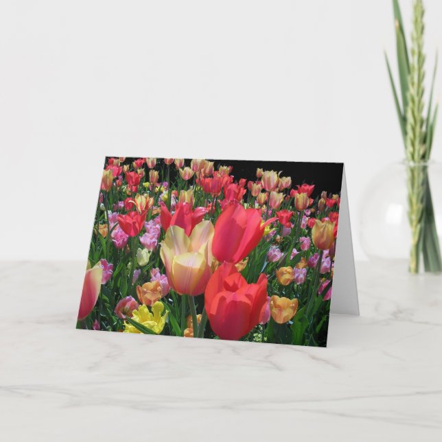 Frohen Muttertag mit Tulpen Karte (Vorderseite)