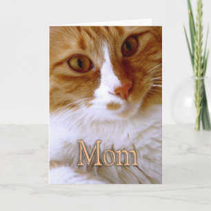 Frohen Muttertag - Süße Katze Karte