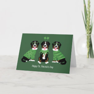 Frohen St. Patrick's Day Berner Sennenhunde Feiertagskarte