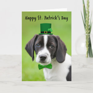 Frohen St. Patrick's Day für jeden süßen Beagle-We Feiertagskarte