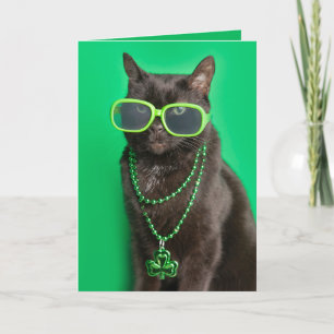 Frohen St. Patrick's Day Katzen in grünem Humor Feiertagskarte
