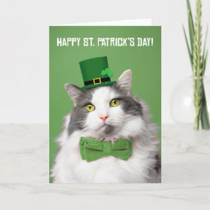 Frohen St. Patrick's Day Süße Katze in Grün Feiertagskarte