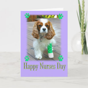 Frohen Tag der Krankenpfleger mit Cavalier King Ch Karte
