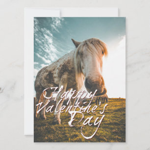 Frohen Valentinstag mit Blick auf das Pferd
