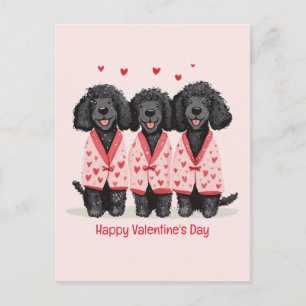 Frohen Valentinstag Schwarze Standard Pudel Hunde Feiertagspostkarte