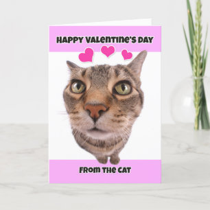 Frohen Valentinstag von der Katzen Humor Feiertagskarte