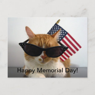 Frohes Gedenktag Cool Cat mit Flagge Postkarte